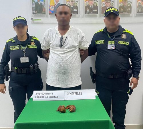 Capturan hombre con ardillas en aeropuerto de Cartagena durante operativo policial
